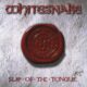 Whitesnake – Slip of the Tongue (1989)