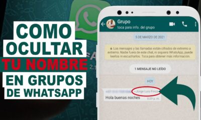 Guía para Hacer Invisible tu Nombre en Chats Grupales de WhatsApp, 2023