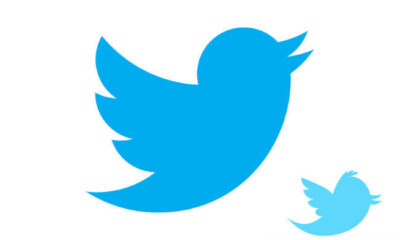 Logo del pajarito azul de Twitter junto a un smartphone mostrando la aplicación.