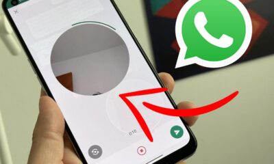 Cómo Desactivar la Opción de "Mensajes de Video" en WhatsApp