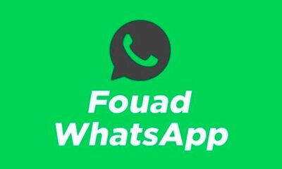 Novedades de Fouad WhatsApp 9.82, última versión de noviembre de 2023: descarga