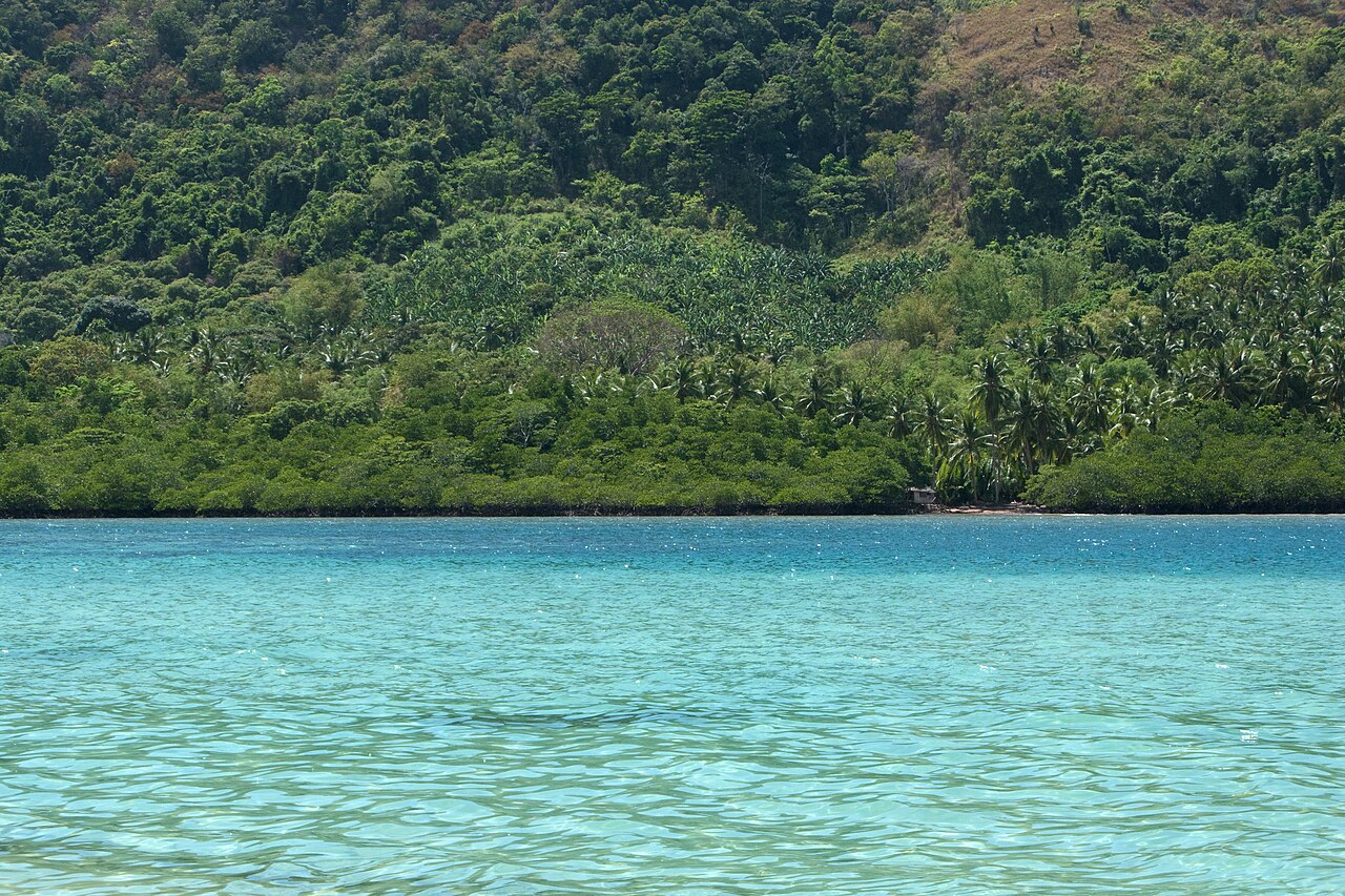 Isla tropical desierta tipo El señor de las moscas