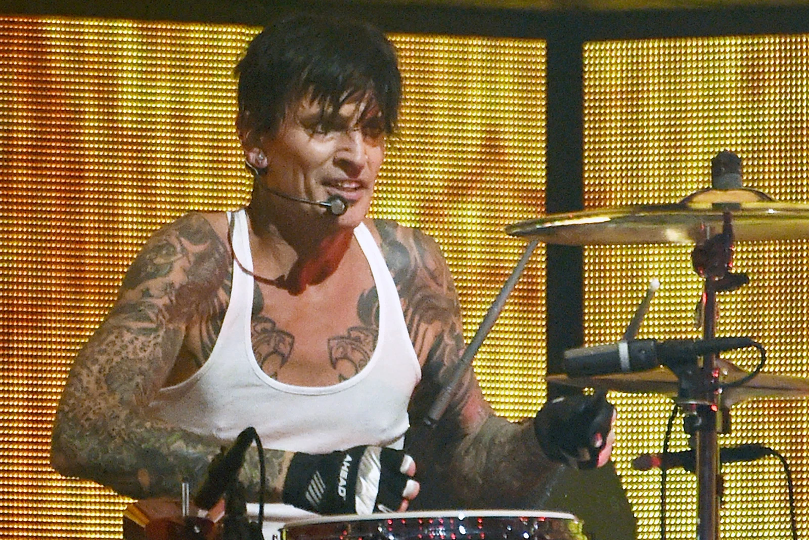 tommy lee stupid world