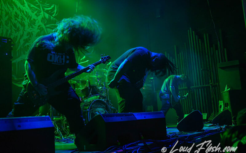 Peeling Flesh en The Observatory: la brutalidad del slam en vivo