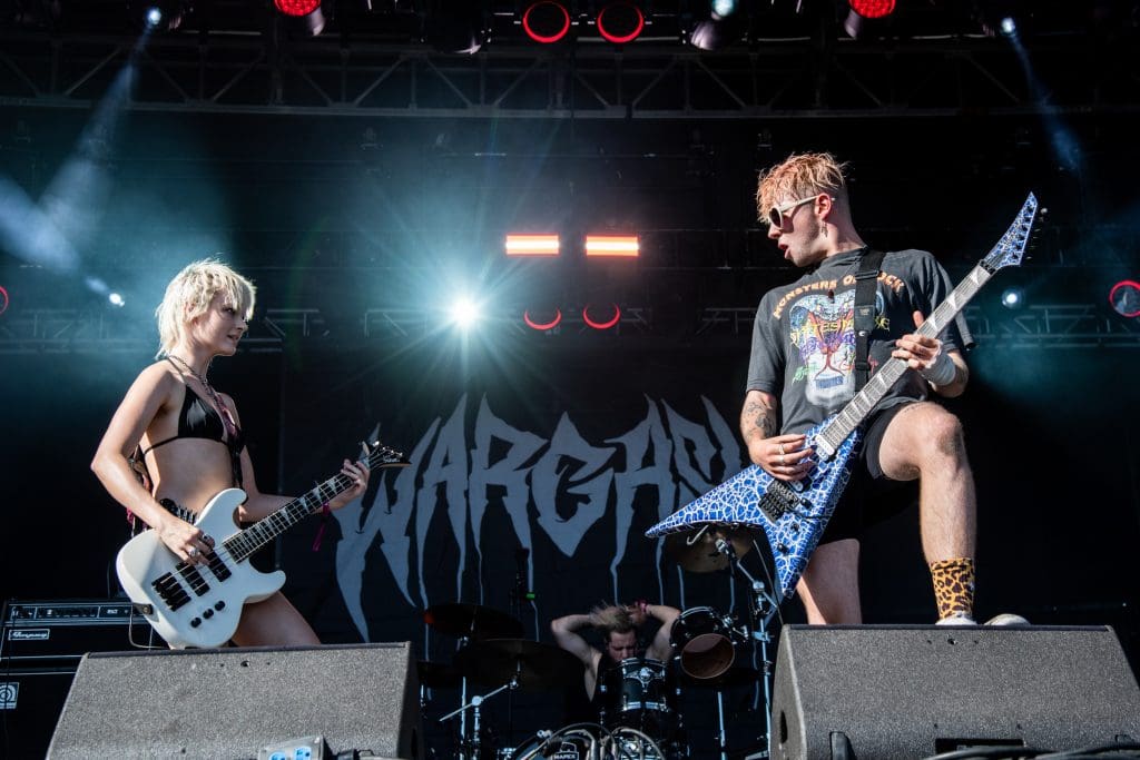 wargasm swallow nuevo sencillo
