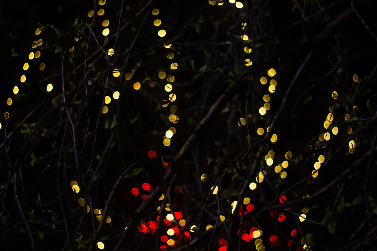 Luces desenfocadas de tonos cálidos entre ramas sobre un fondo oscuro, ambiente navideño del EP de Ice Nine Kills