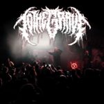 To The Grave estrena Liberation Front: la nueva masacre del deathcore australiano
